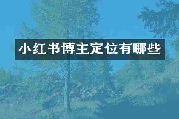 小红书博主定位有哪些