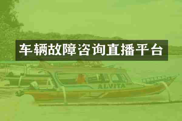 车辆故障咨询直播平台
