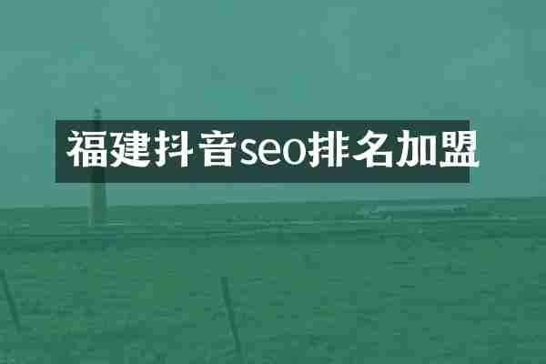 福建抖音seo排名加盟