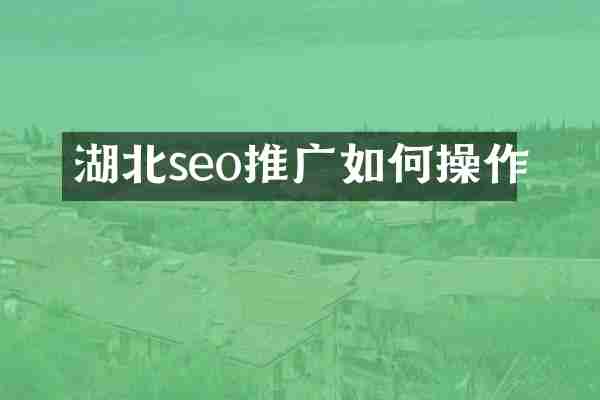 湖北seo推广如何操作