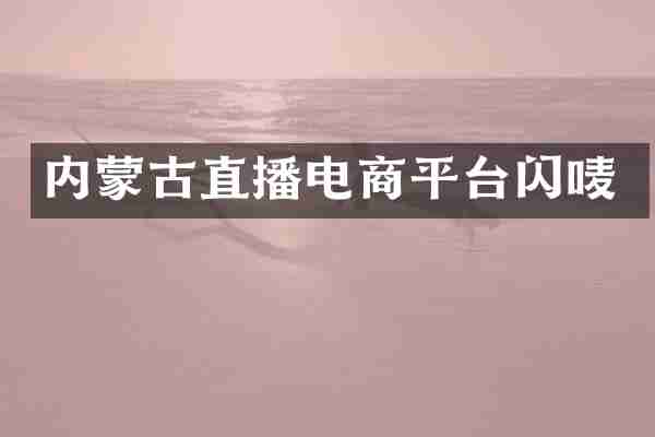 内蒙古直播电商平台闪唛
