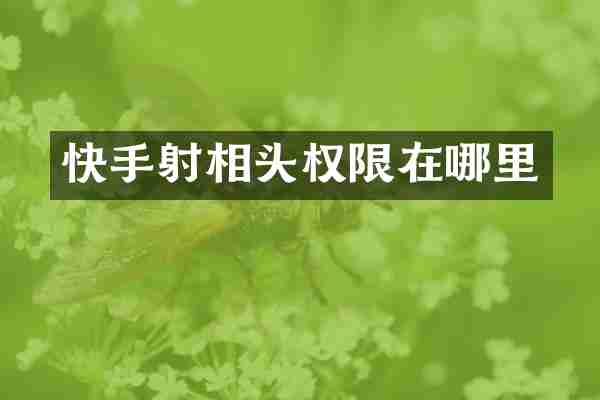 快手射相头权限在哪里
