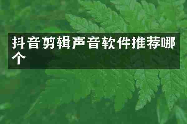 抖音剪辑声音软件推荐哪个