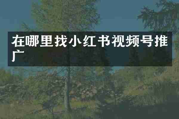 在哪里找小红书视频号推广