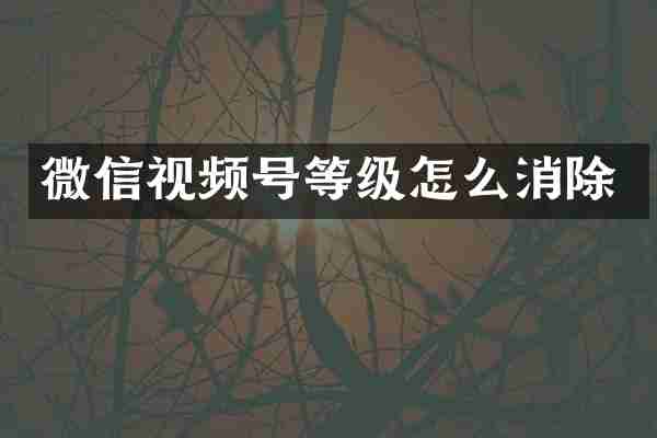 微信视频号等级怎么消除