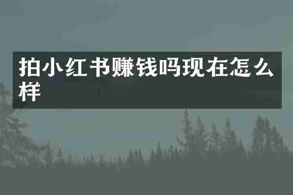 拍小红书赚钱吗现在怎么样