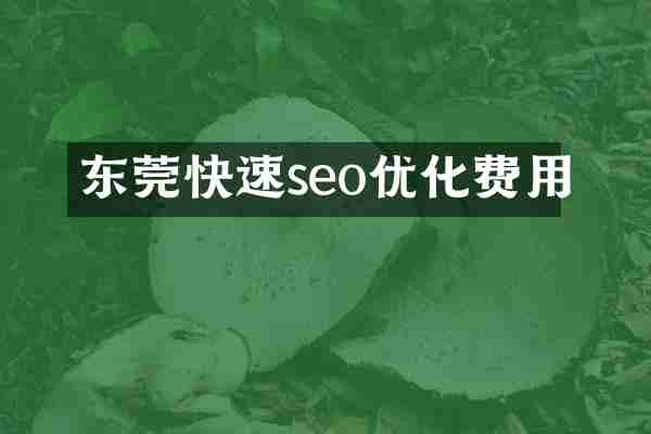 东莞快速seo优化费用