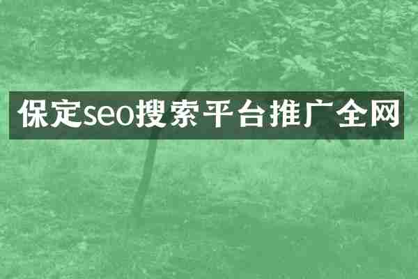 保定seo搜索平台推广全网