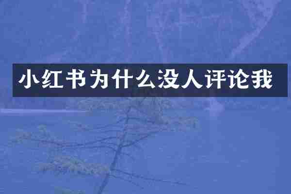小红书为什么没人评论我