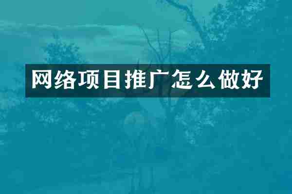 网络项目推广怎么做好