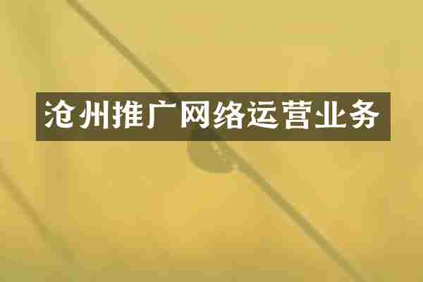 沧州推广网络运营业务