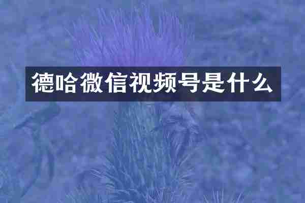 德哈微信视频号是什么