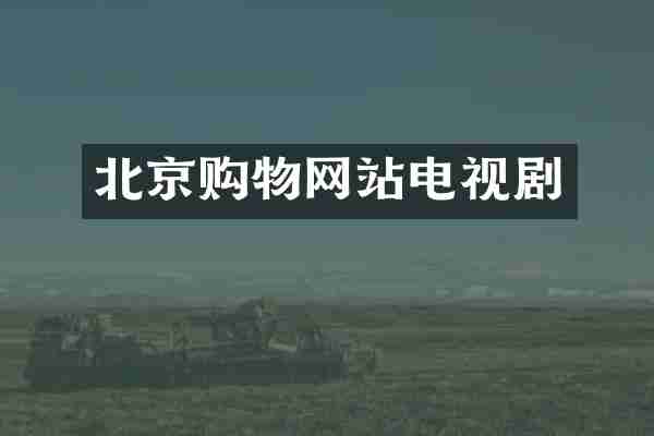 北京购物网站电视剧