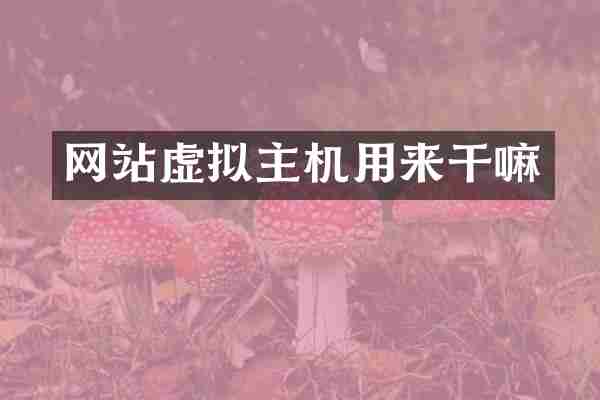 网站虚拟主机用来干嘛