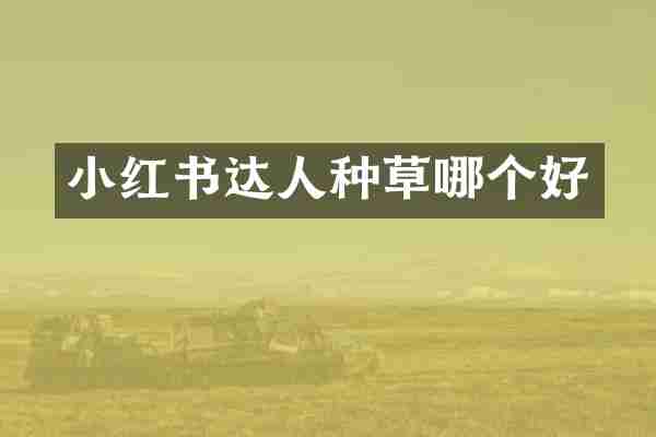 小红书达人种草哪个好
