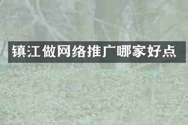 镇江做网络推广哪家好点