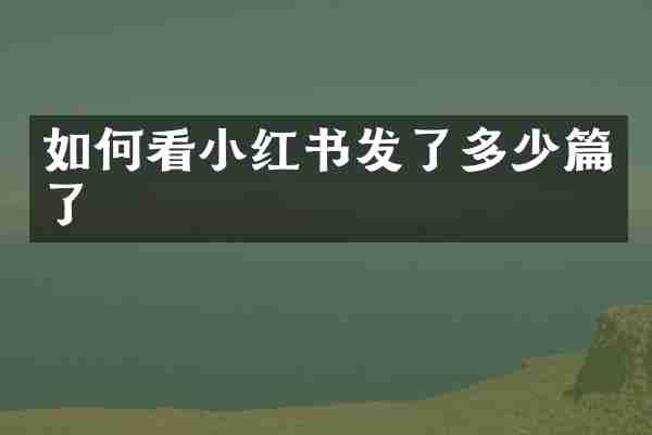 如何看小红书发了多少篇了