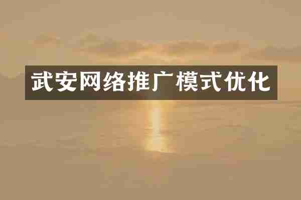 武安网络推广模式优化