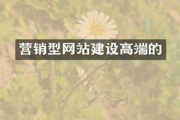 营销型网站建设高端的
