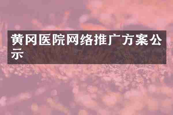 黄冈医院网络推广方案公示