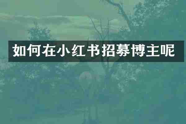 如何在小红书招募博主呢