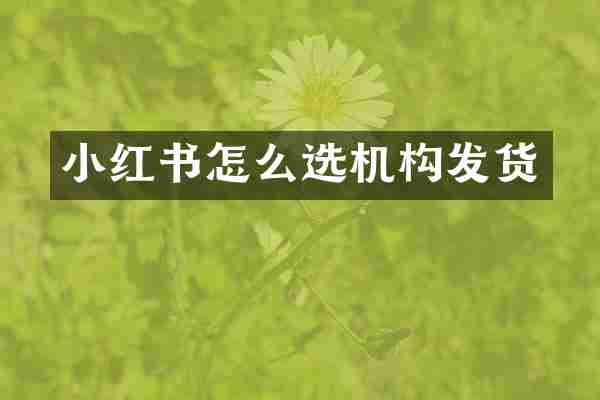 小红书怎么选机构发货