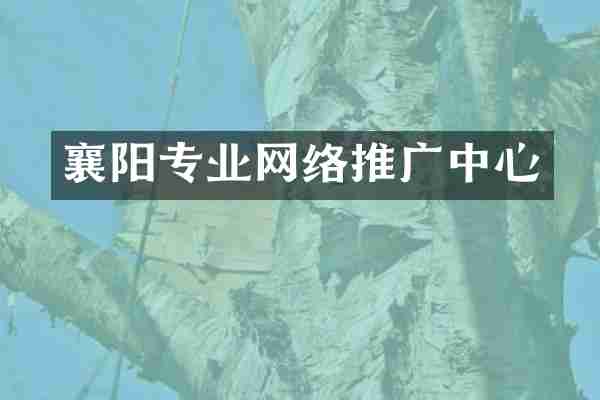 襄阳专业网络推广中心