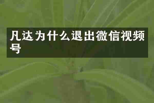凡达为什么退出微信视频号