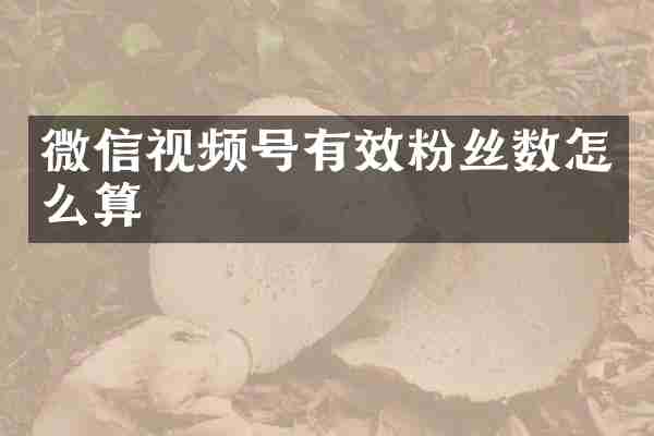 微信视频号有效粉丝数怎么算