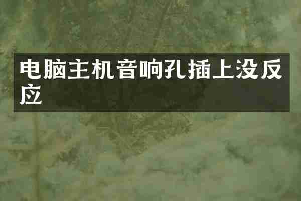 电脑主机音响孔插上没反应