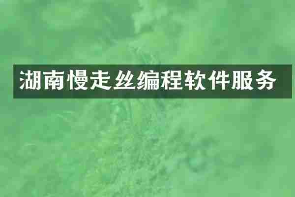 湖南慢走丝编程软件服务