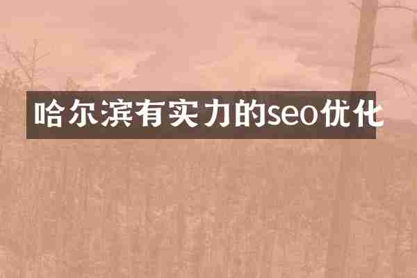 哈尔滨有实力的seo优化