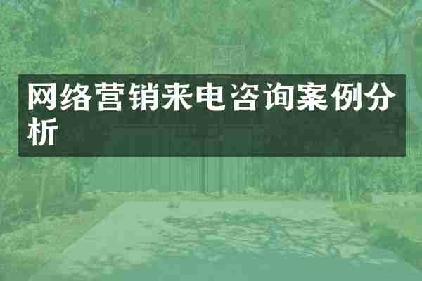 网络营销来电咨询案例分析