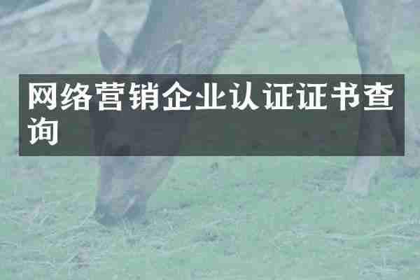 网络营销企业认证证书查询