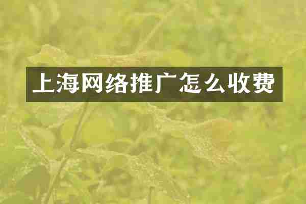 上海网络推广怎么收费