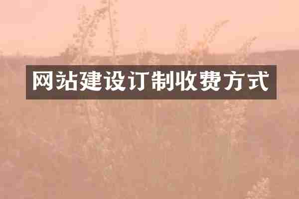 网站建设订制收费方式