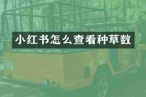 小红书怎么查看种草数