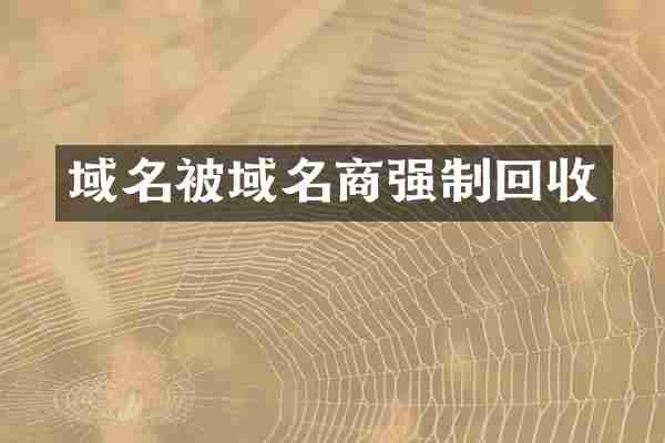 域名被域名商强制回收