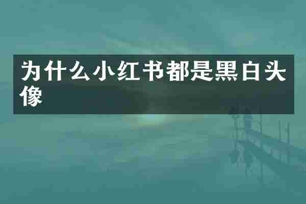 为什么小红书都是黑白头像