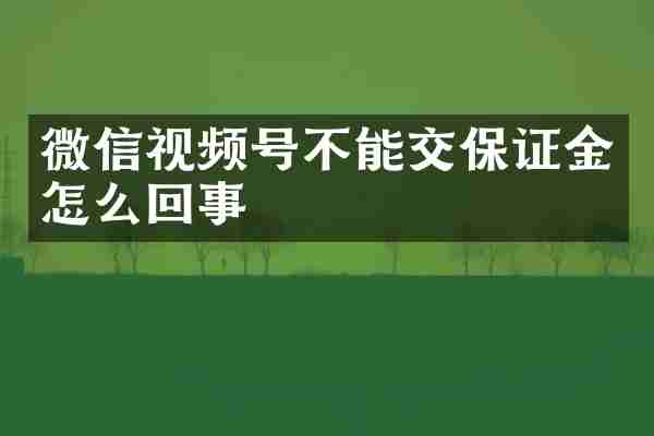 微信视频号不能交保证金怎么回事