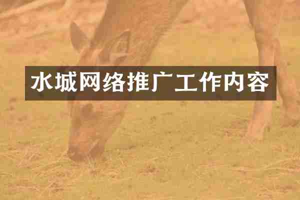 水城网络推广工作内容