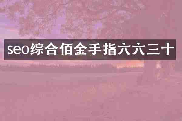 seo综合佰金手指六六三十
