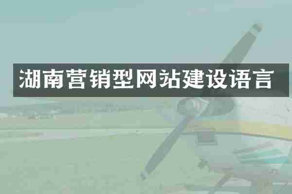 湖南营销型网站建设语言