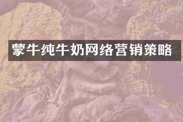 蒙牛纯牛奶网络营销策略