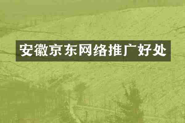 安徽京东网络推广好处