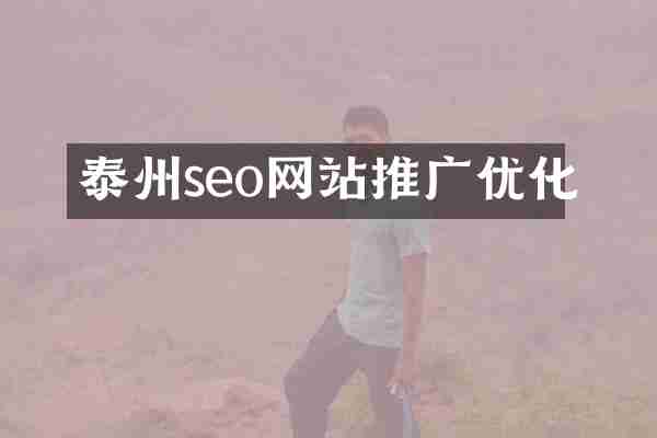 泰州seo网站推广优化