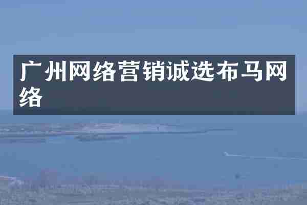 广州网络营销诚选布马网络