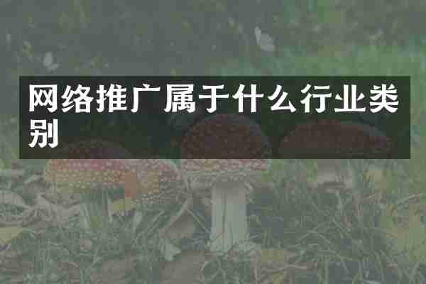 网络推广属于什么行业类别