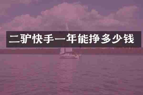 二驴快手一年能挣多少钱