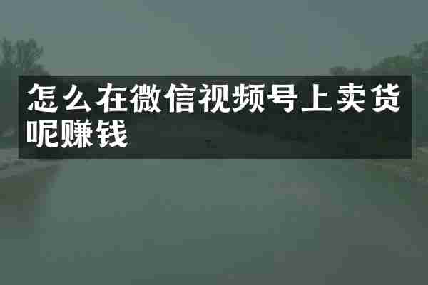 怎么在微信视频号上卖货呢赚钱